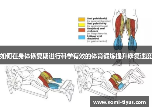 如何在身体恢复期进行科学有效的体育锻炼提升康复速度